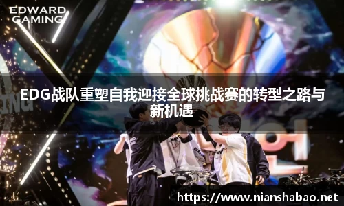 6163银河net163